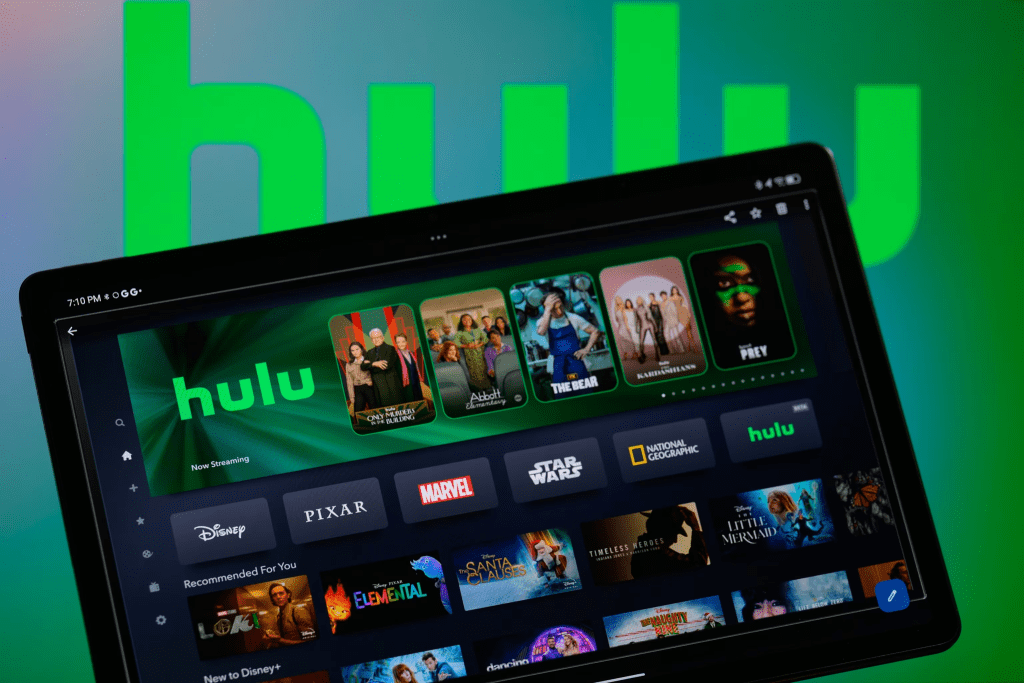 Hulu app interface screenshot showing browse hubs, search, watchlist, and continue watching section for where to watch and what to watch next